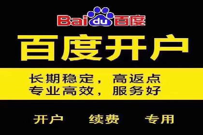 百度竞价排名案例分享：广告投放的技巧与误区